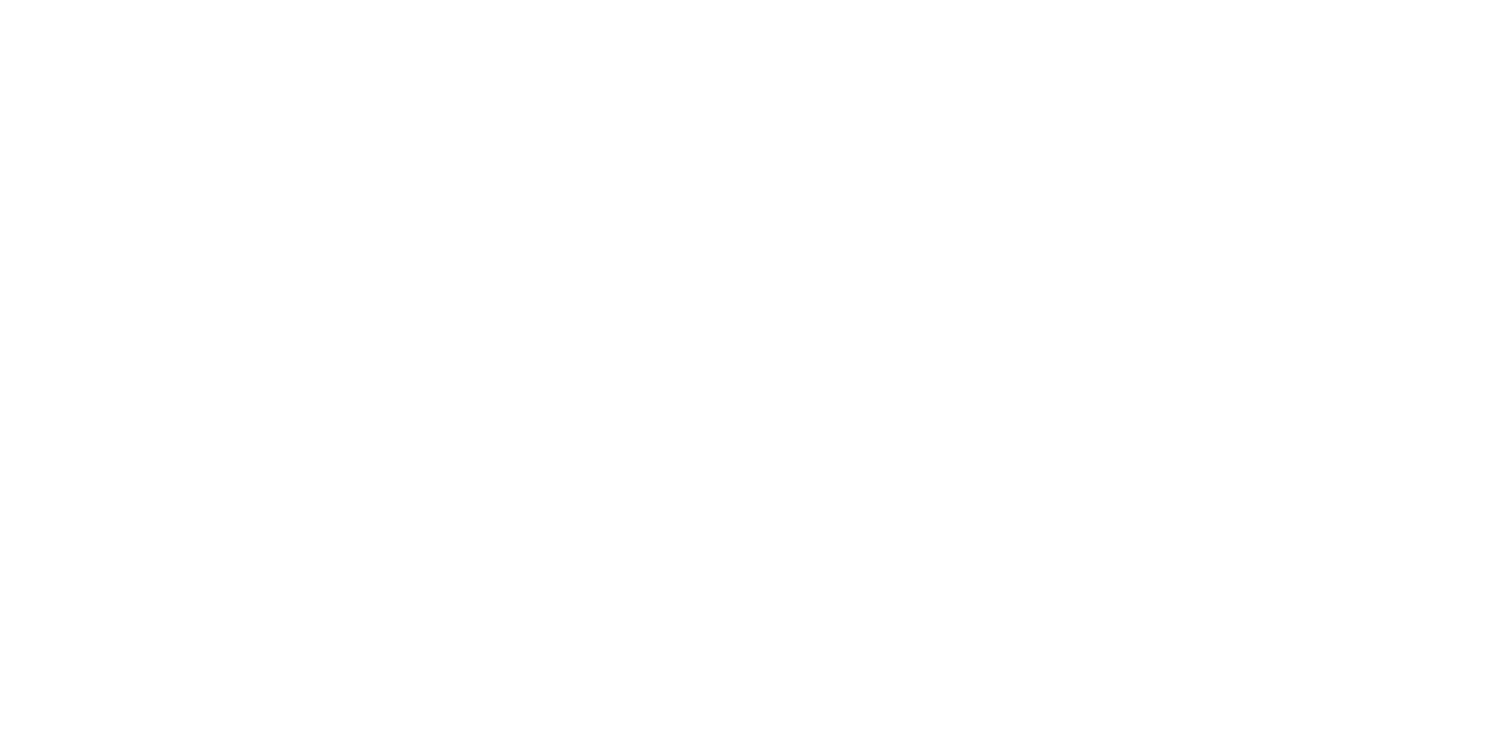 Nene Window Cleaning logo